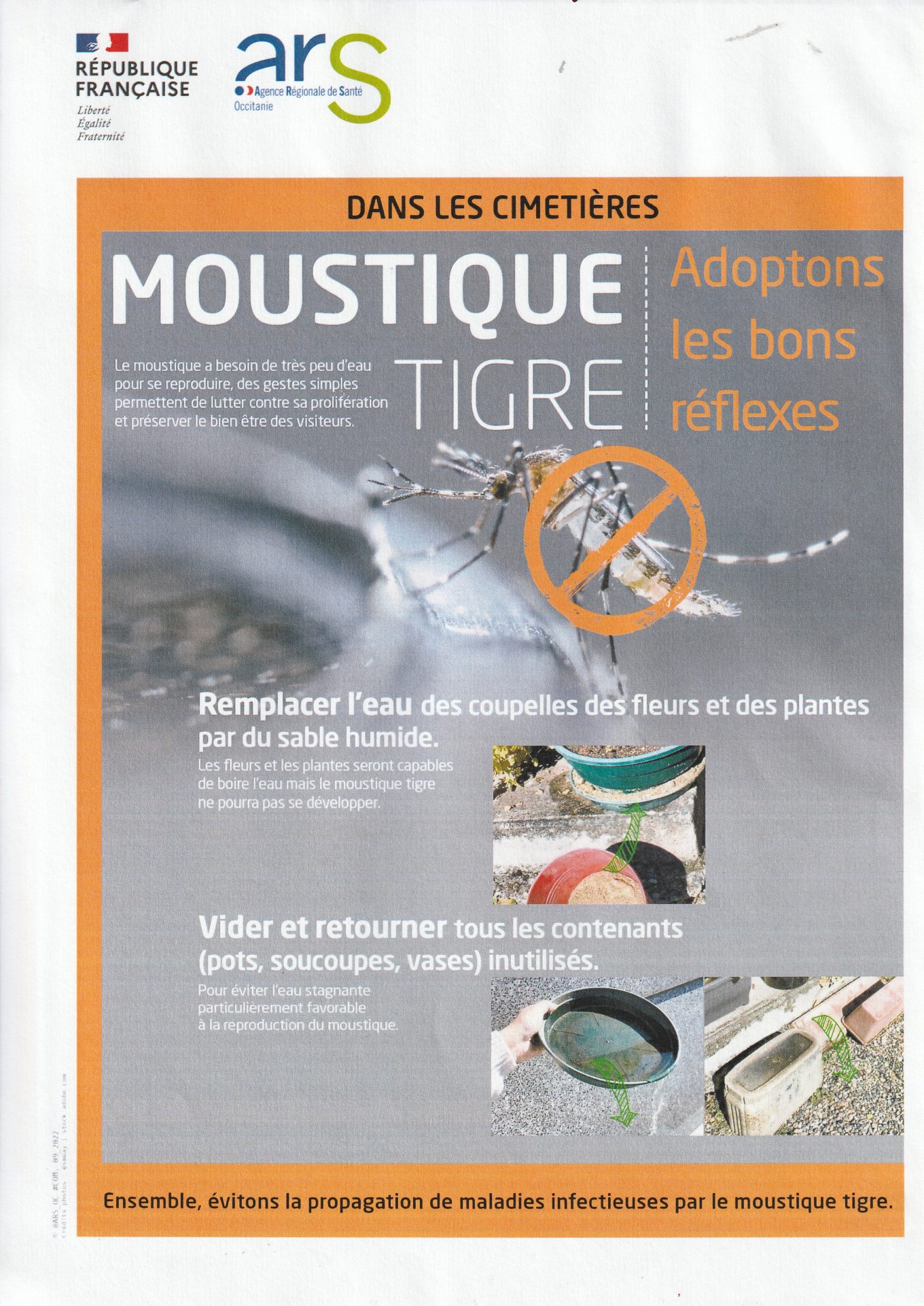 Lire la suite à propos de l’article Moustiques tigres